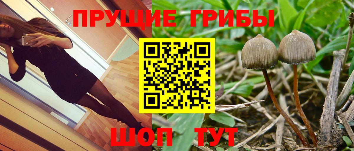 Галлюциногенные грибы прущие грибы Джанкой