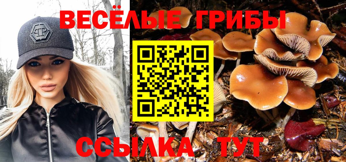 Джанкой  Галлюциногенные грибы Magic Shrooms  Вход с VPN 